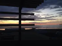 Papas & beer NEW HOME