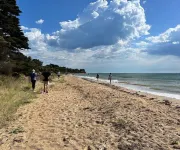 Brand new, spacious family home in walking distance to beach.