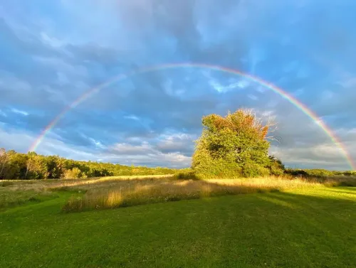 75 Acre Summer Retreat with Private Swimming Pond, Trails, and Cedar Hot Tub Hotels in Taghkanic