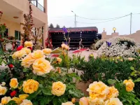 b&b ペトラファームハウス のホテル