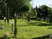 Farmhouse in Vinci near Leonardo's Birthplace - Farmhouses