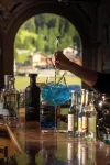 弗洛拉酒店 - 酒吧