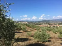 Cottage in Magione near Lake Trasimeno