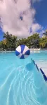 Banana Bay Resort & Marina - Ocean View