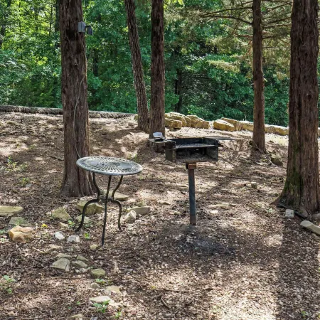 Baldknobber Ridge Escape - West Branson Cabin!