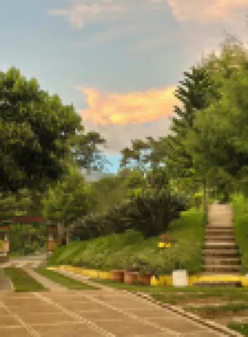 La Villa de los Alas Hotels in 