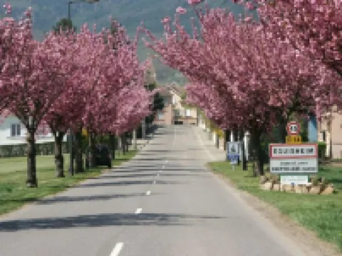 L'Alsacienne - cosy gite