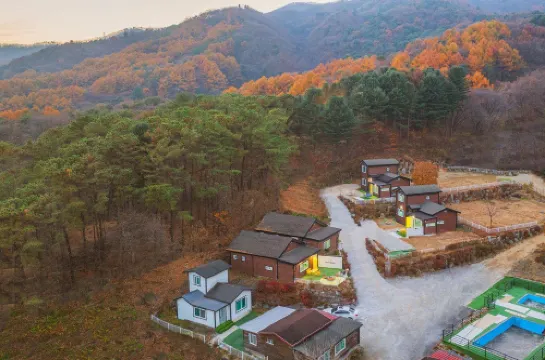 Pocheon Ginkgo Tree Pension