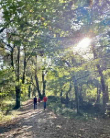 The Kingswood