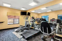Quality Inn & Suites Niles - Gym