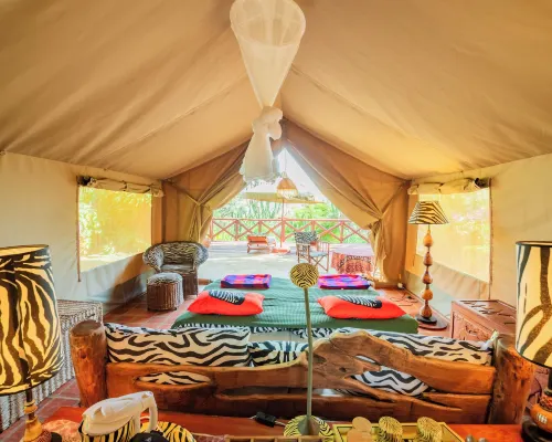 Buffalo's Rest Hotels in Naivasha