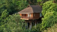 The Tamara Coorg