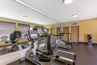 Royal Sun Inn & Suites - gimnasio