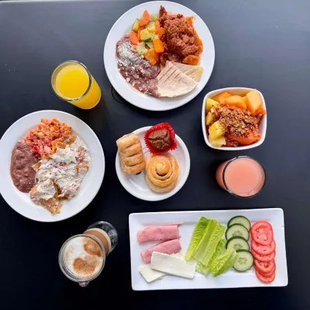 Ibis Merida