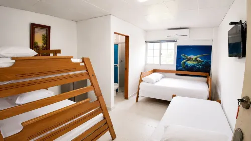 La Gran Casa - Homestays