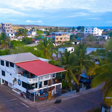 The Island Home