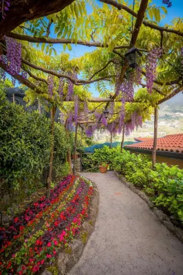 Il Roseto B&B