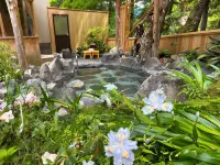Ohnogiso - Hot Springs
