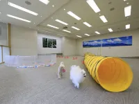 ゆとりろ蓼科ホテル　ｗｉｔｈ　ＤＯＧＳ - 4つ星