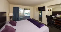 Orange Tree Inn - balcony