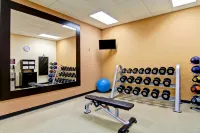 Hilton Garden Inn Ottawa Airport - Træningscentre