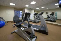 Homewood Suites by Hilton Chesapeake-Greenbrier - Gym