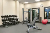 Hampton Inn & Suites Johns Creek - Gym