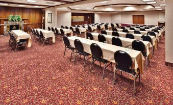 Holiday Inn des Moines-Airport/Conf Center