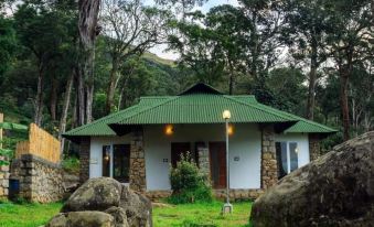 Neelakurunji Plantation Munnar