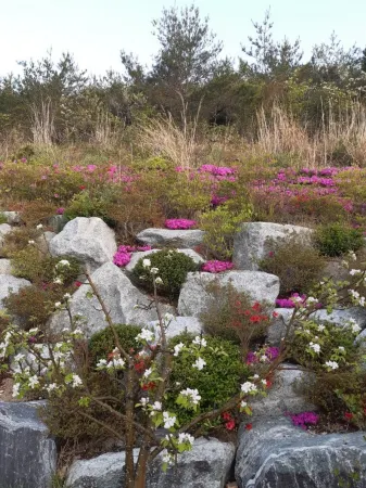 Buan Sanmaru Bed & Breakfast Pension Отели в г. Пуан