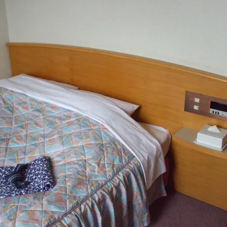 Hatago Tsuruya Hotel