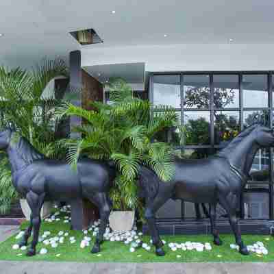 米德力概念酒店 Hotel Exterior