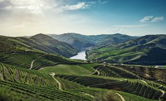 a picturesque landscape with a river flowing through a lush green valley , surrounded by mountains at The Vintage House - Douro