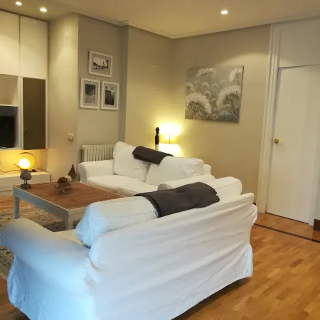 Apt. San Sebastian Center Next to the Concha Beach.