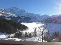 Jungfrau a D Ledi