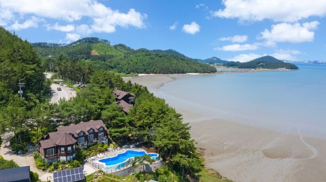 위드오션 수영장