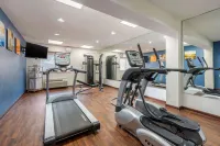 Comfort Inn South