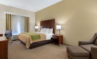 Comfort Inn & Suites Port Arthur-Port Neches