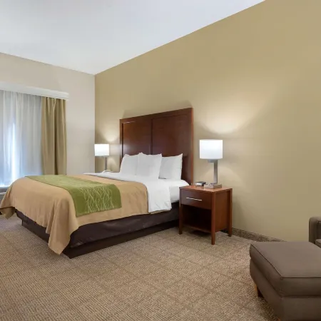 Comfort Inn & Suites Port Arthur-Port Neches