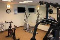 Comfort Inn Early Brownwood - Gym