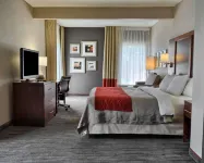 Comfort Inn Ruther Glen Near Kings Dominion - 2-Star