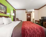 Quality Inn Hotels in Tuscola