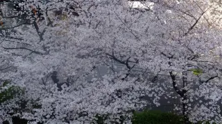 0222g120009zkzsuqF1D0 R 320 180 R5 D