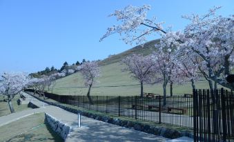 Mountain Home Lodge in Deer Park