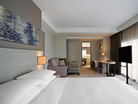 ห้องสเปเชียลตี้เตียงคิงไซส์พร้อมโซฟาเบด