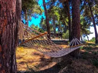 Troia Tusan Hotel Hotels in Dardanos Mahallesi