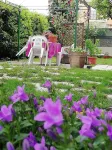 B&B Il Cedro Hotel in zona Chiesa di San Nicolò