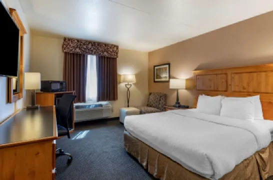 Best Western Brighton Inn Hotels in Brighton