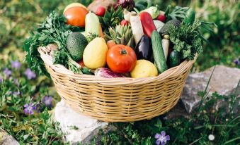 a basket filled with a variety of fresh vegetables sits on a rock in a garden at Delina Mountain Resort