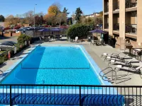 The Vic, Ascend Hotel Collection